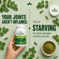 PureVital Moringa